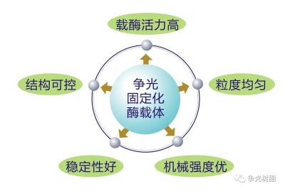 爭(zhēng)光固定化酶載體Zhengguang immobilized enzyme carrier